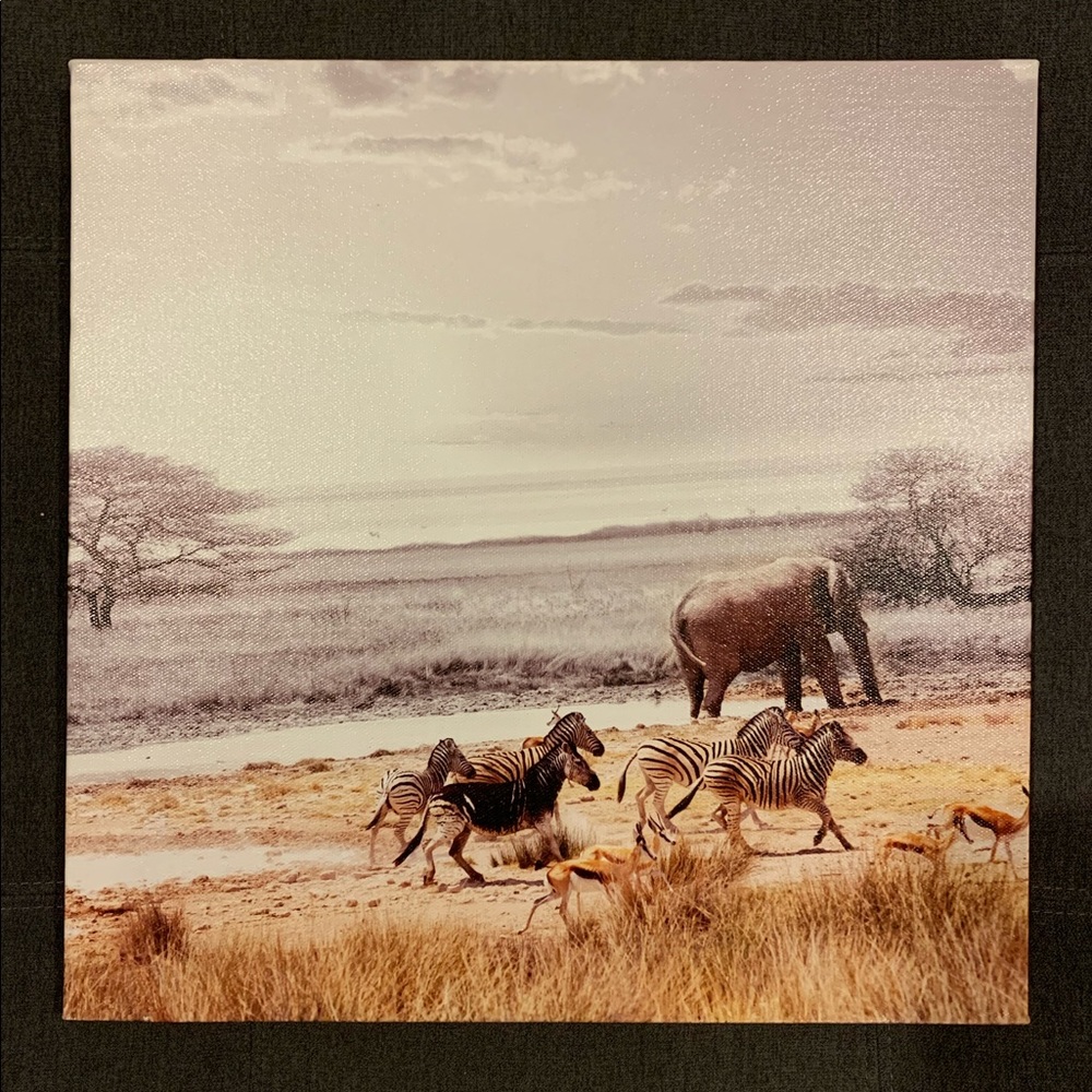 Canvas wall 🖼 art , nature with animals 🦓 🦌 🐘